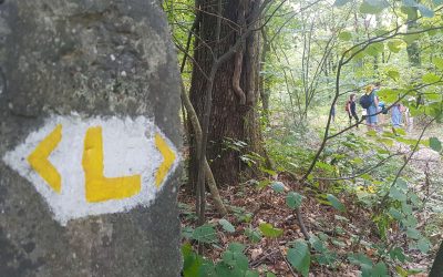 „Megőrzi voltom bélyegét” – Marosi Réka emléktúra