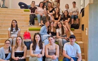 Goethe-Institut programja